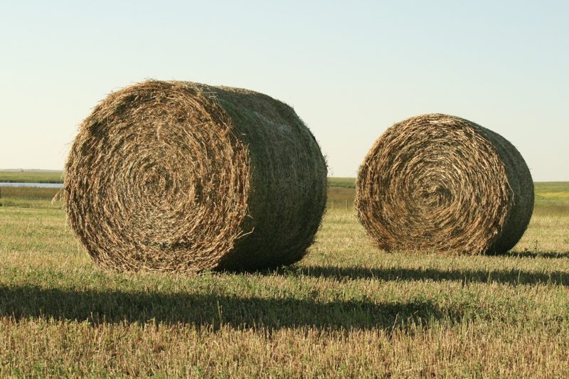Hay Production and Sales